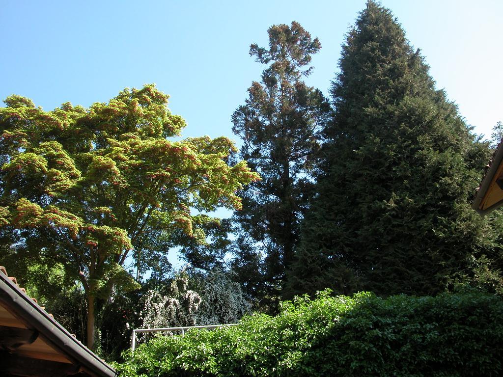 Villa D'Azeglio Albiano D'Ivrea Exterior photo
